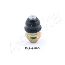 ASHIKA Μπαλάκια Ψαλιδιών 73-0H-H06