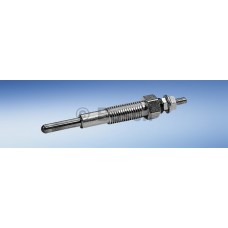 BOSCH Προθερμαντήρας 0 250 202 089