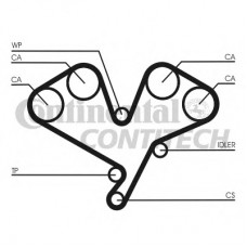 CONTITECH Ιμάντας Χρονισμού CT1113