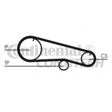 CONTITECH Ιμάντας Χρονισμού CT668