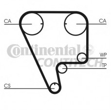 CONTITECH Ιμάντας Χρονισμού CT794