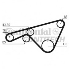 CONTITECH Ιμάντας Χρονισμού CT925