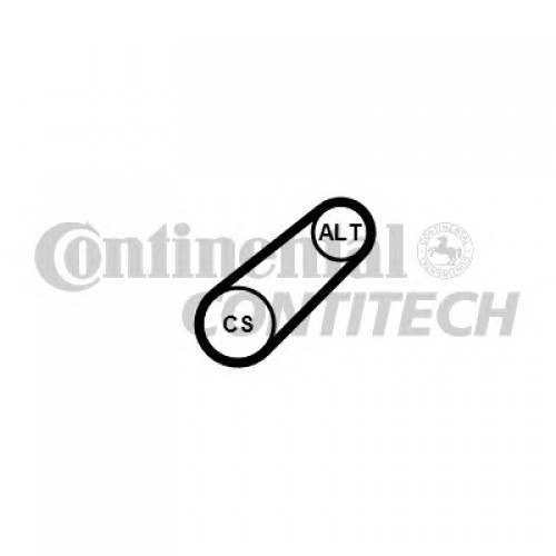 CONTITECH Ιμάντας poly-V 6PK799 ELAST