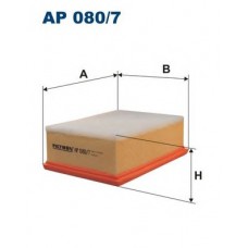 FILTRON Φίλτρο αέρα AP080/7