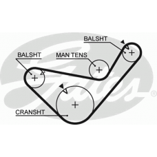 GATES Ιμάντας Χρονισμού 5456XS