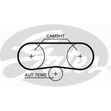 GATES Ιμάντας Χρονισμού 5516XS