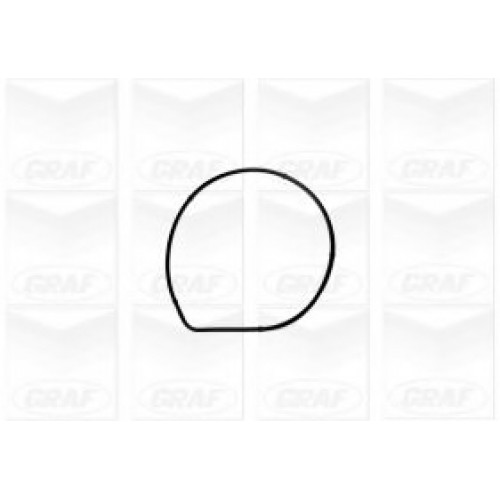 GRAF Αντλία νερού PA1071