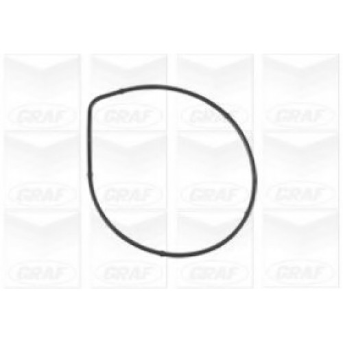 GRAF Αντλία νερού PA1072