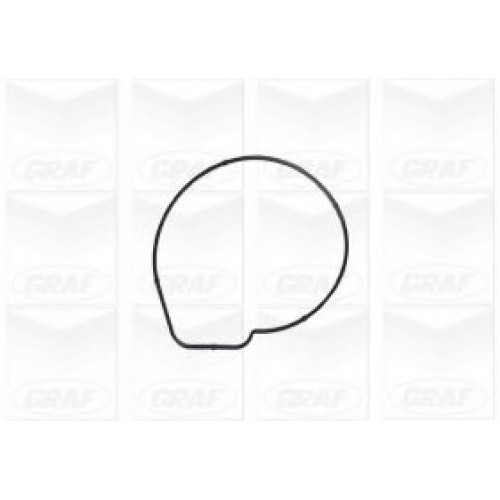 GRAF Αντλία νερού PA1167