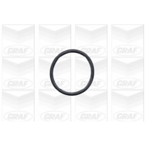 GRAF Αντλία νερού PA430