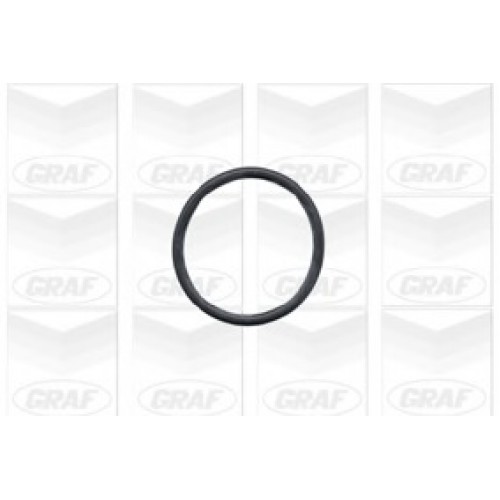 GRAF Αντλία νερού PA431