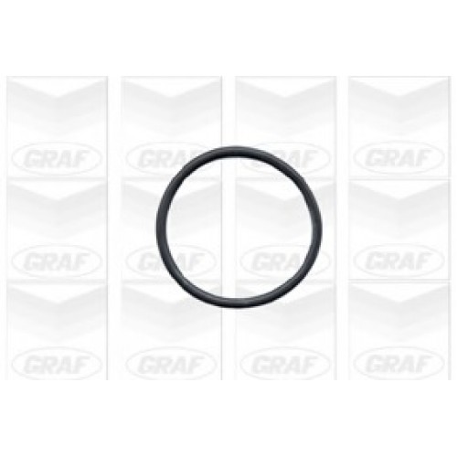 GRAF Αντλία νερού PA432A