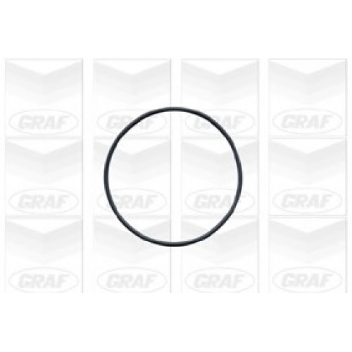 GRAF Αντλία νερού PA541