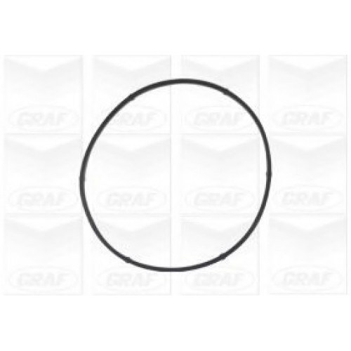 GRAF Αντλία νερού PA541A