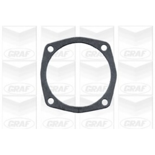 GRAF Αντλία νερού PA575