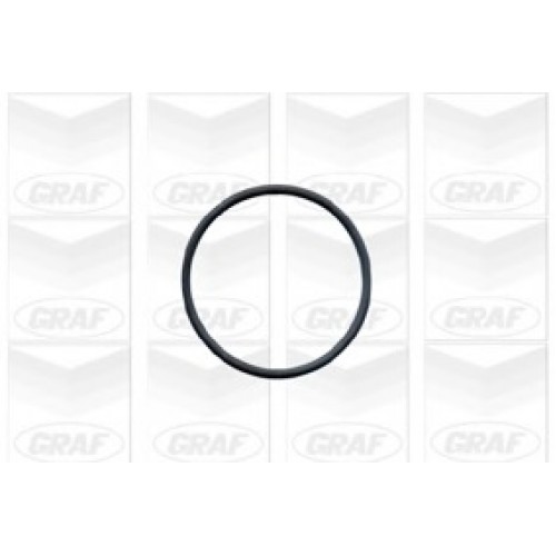 GRAF Αντλία νερού PA603