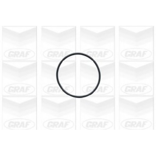 GRAF Αντλία νερού PA628