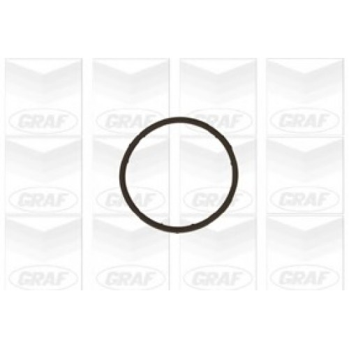 GRAF Αντλία νερού PA654