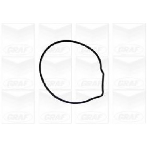 GRAF Αντλία νερού PA676