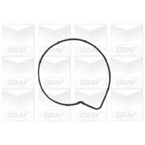 GRAF Αντλία νερού PA736