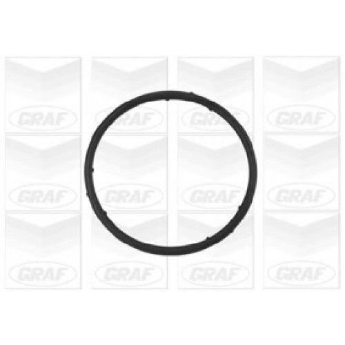 GRAF Αντλία νερού PA765