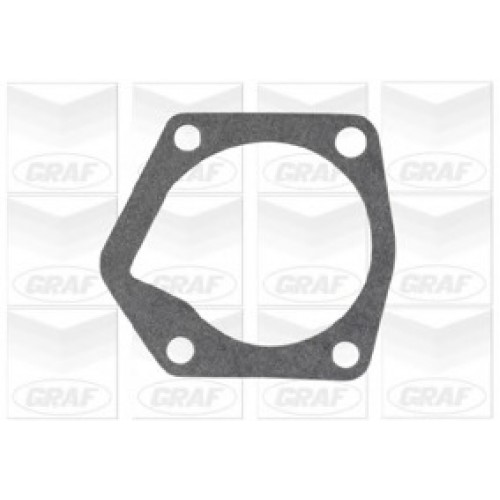 GRAF Αντλία νερού PA805