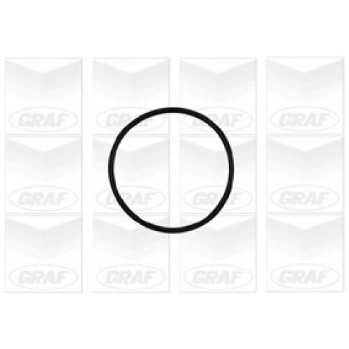 GRAF Αντλία νερού PA837