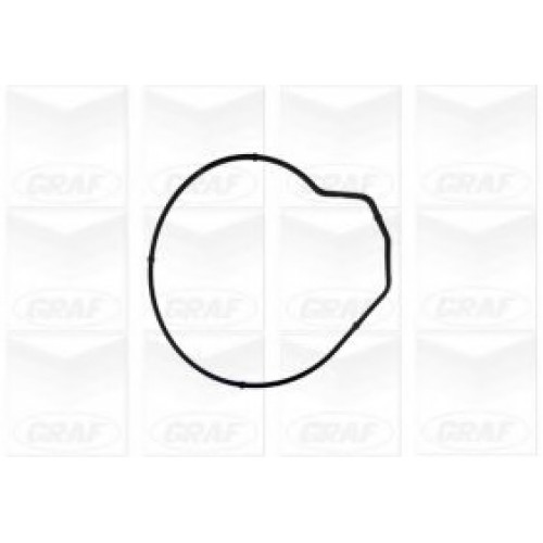 GRAF Αντλία νερού PA855