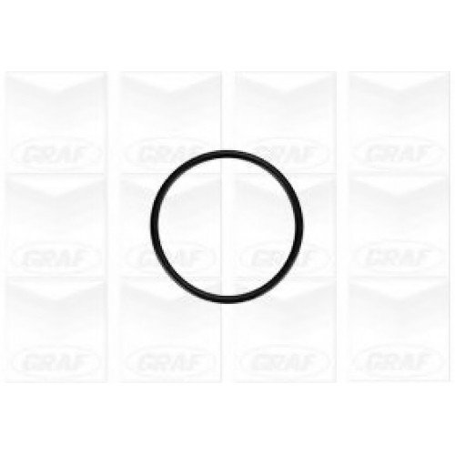 GRAF Αντλία νερού PA879