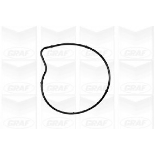 GRAF Αντλία νερού PA978