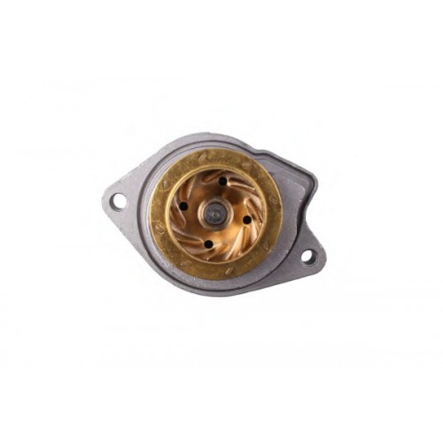 HEPU Αντλία νερού P557