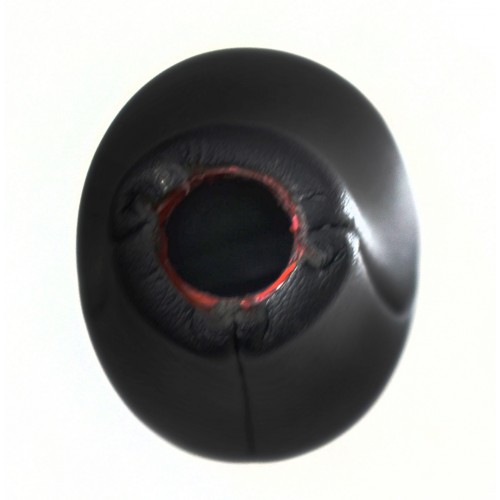 ΠΟΜΟΛΟ ΛΕΒΙΕ ΤΑΧΥΤΗΤΩΝ BMW E36/E46 SERIES 3 - 5 ΤΑΧΥΤΗΤΕΣ R12345 - ΔΕΡΜΑ/ ΜΠΡΟΣΤΙΝΗ ΡΑΦΗ - 'M' - ΜΑΥΡΟ